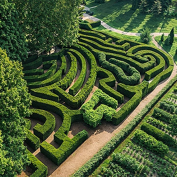 Maze Garden