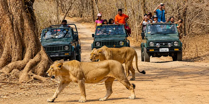 Dwarka | Somnath | Gir Tour 4N 5D